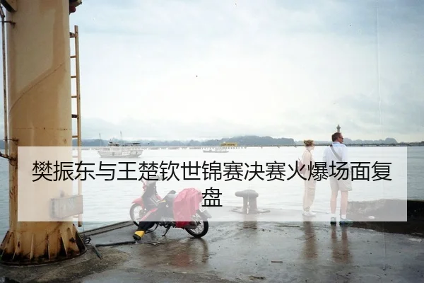 樊振东与王楚钦世锦赛决赛火爆场面复盘